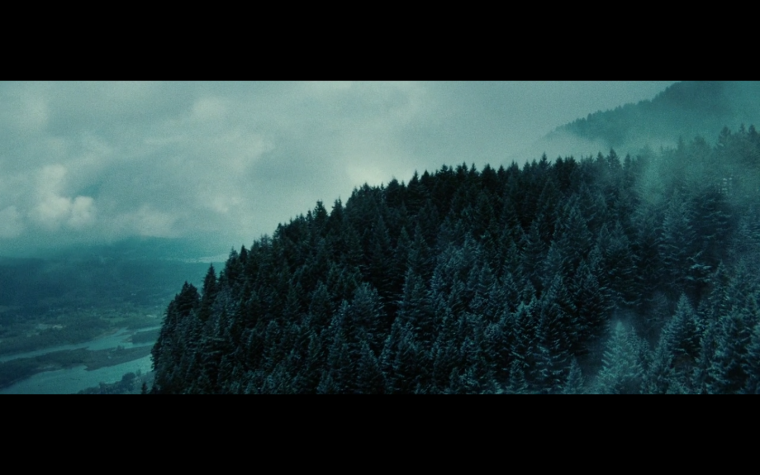 Форкс лес Сумерки