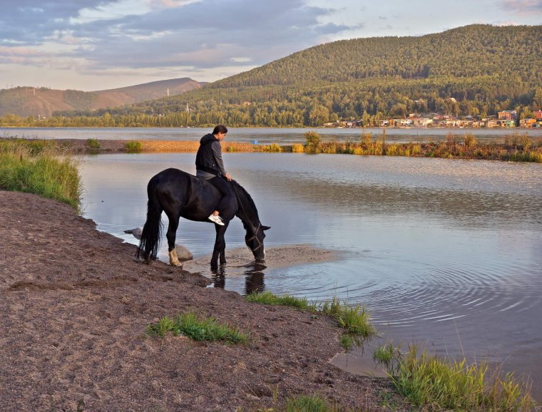 Лошадь горы девушка река