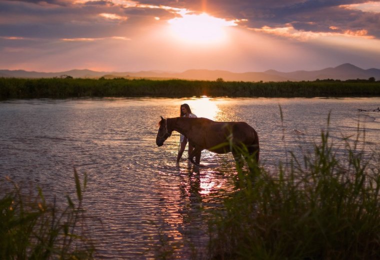 Лошади на рассвете