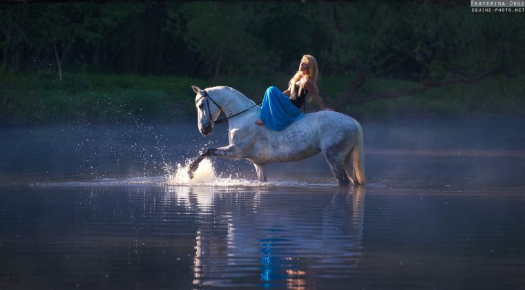 Фотосессия с лошадью в воде