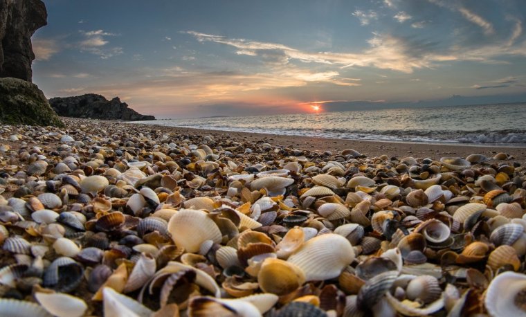 Ракушечный пляж Шелл Бич