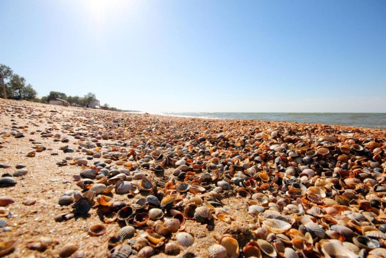 Темрюк станица Голубицкая