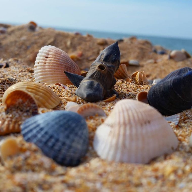 Парадиз Голубицкая