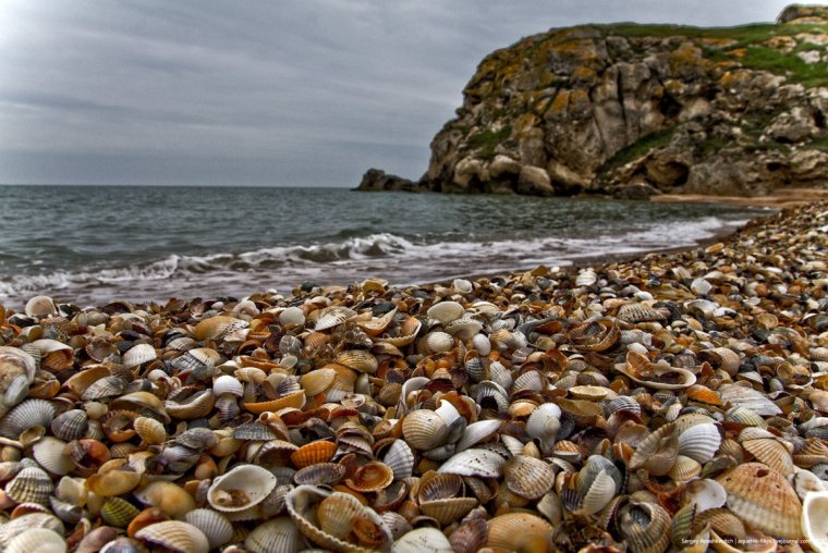 Феодосия ракушечный пляж