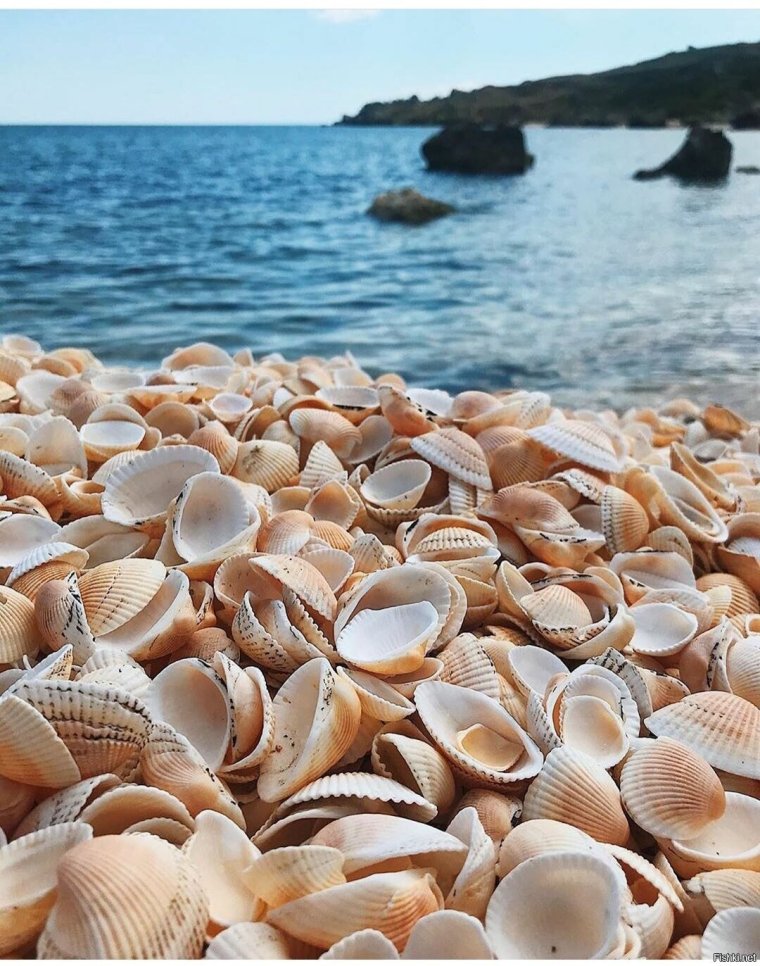 Ракушечный берег Должанской косы на Азовском море