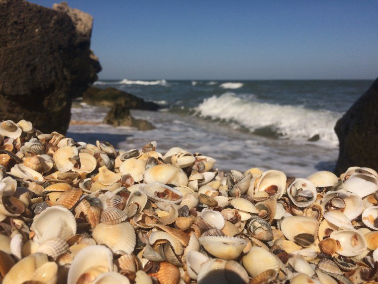 Обои на рабочий стол Азовское море