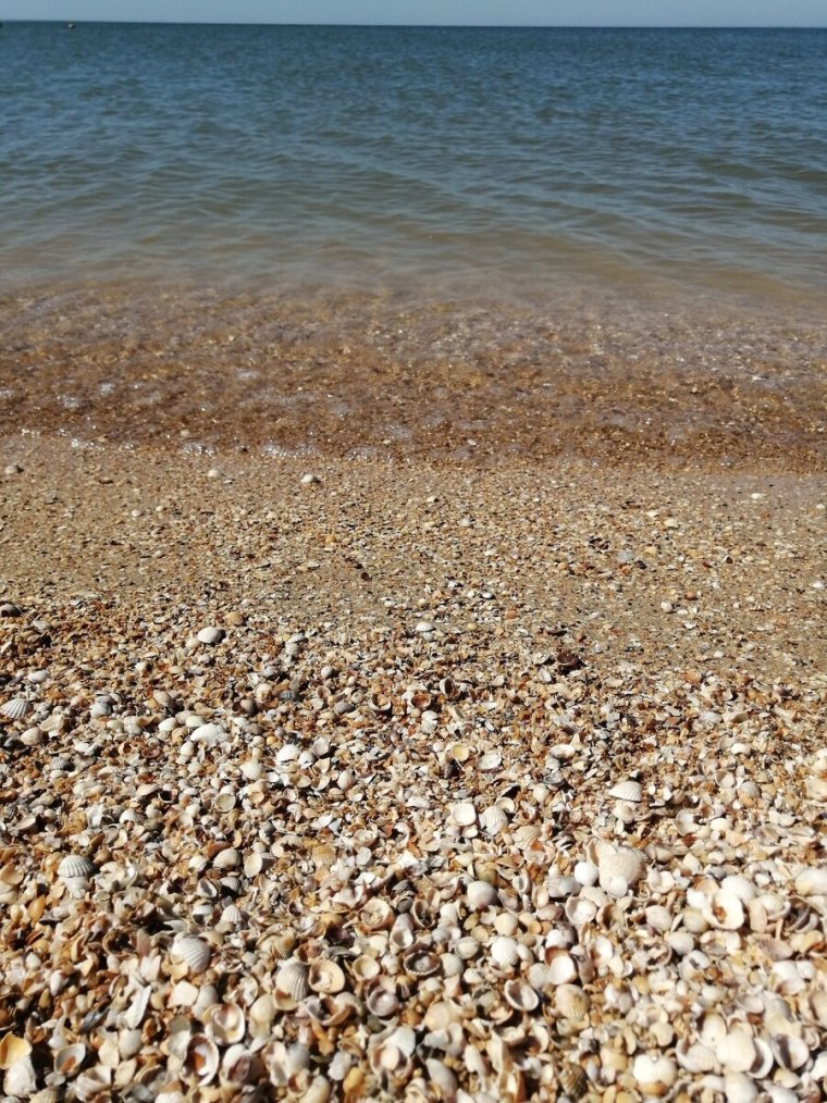 Ракушечный пляж на Азовском море