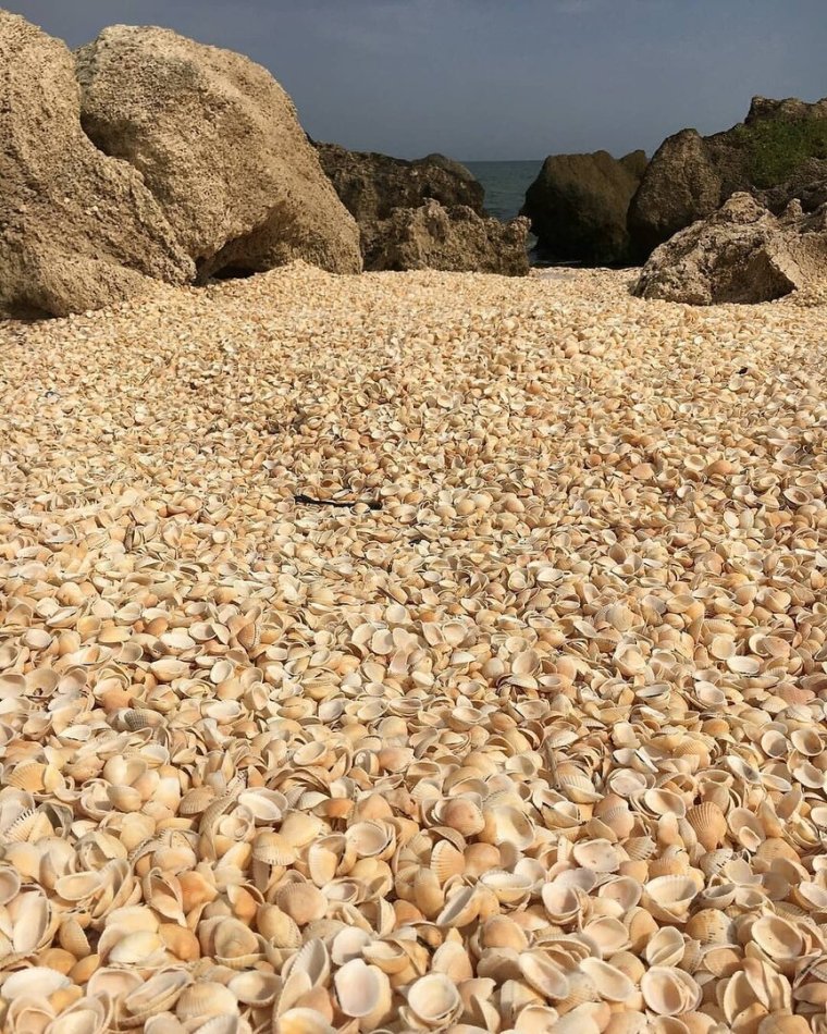 Краснодарский край станица Должанская коса долгая