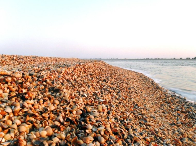 Пляж морской Бриз Голубицкая