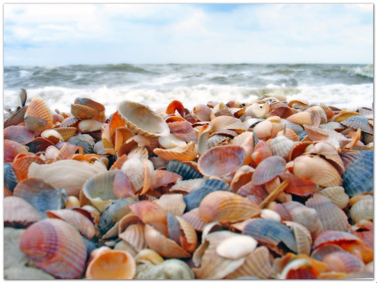 Анапа галечный пляж