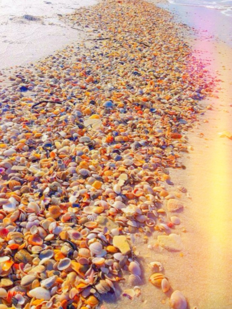 Берег моря галька