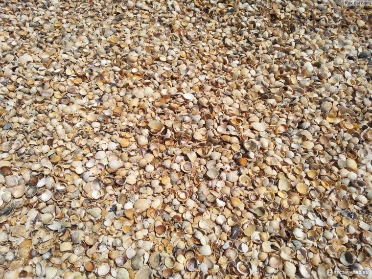 Джубга ракушечный пляж