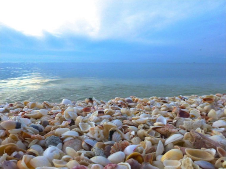 Феодосия ракушечный пляж