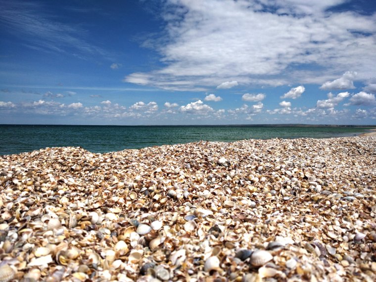 Ракушечный пляж Шелл Бич
