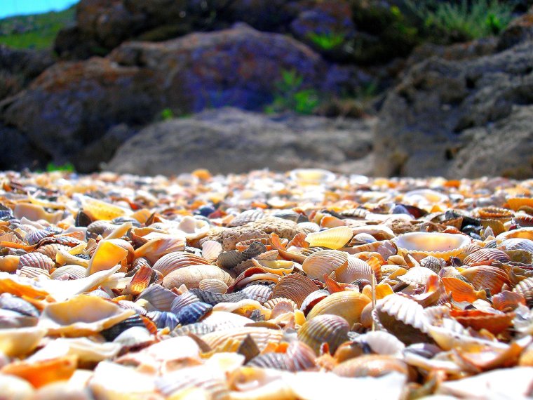 Генеральский ракушечный пляж Крым