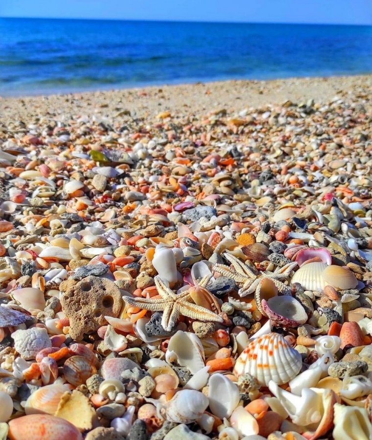 Ракушечный пляж в Керчи