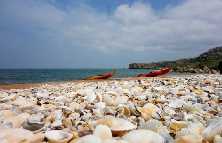 Ракушечный пляж на Азовском море