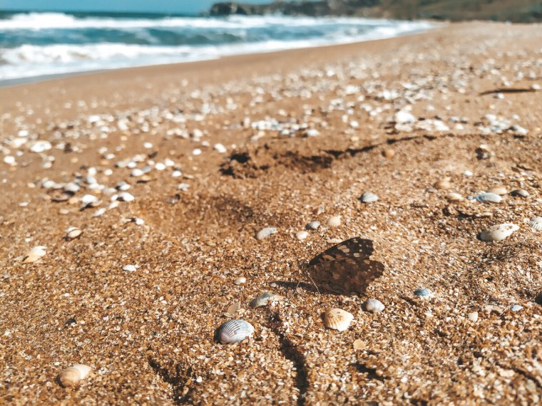 Джубга ракушечный пляж