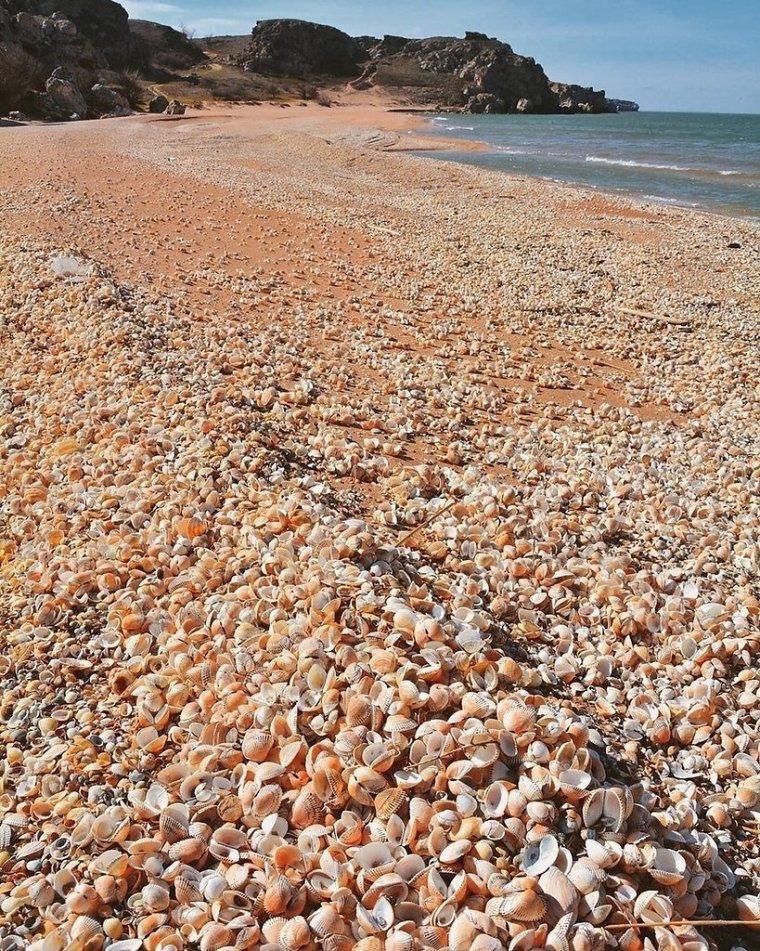 Генеральский ракушечный пляж Крым
