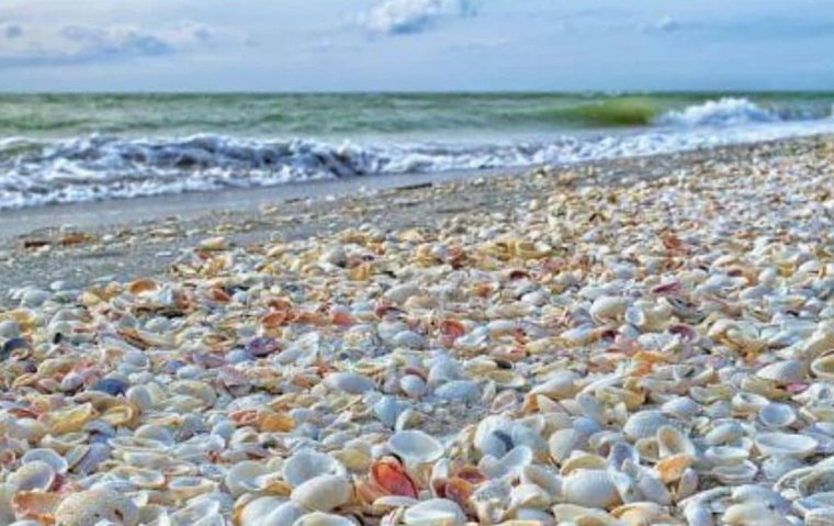 Генеральские пляжи змеи