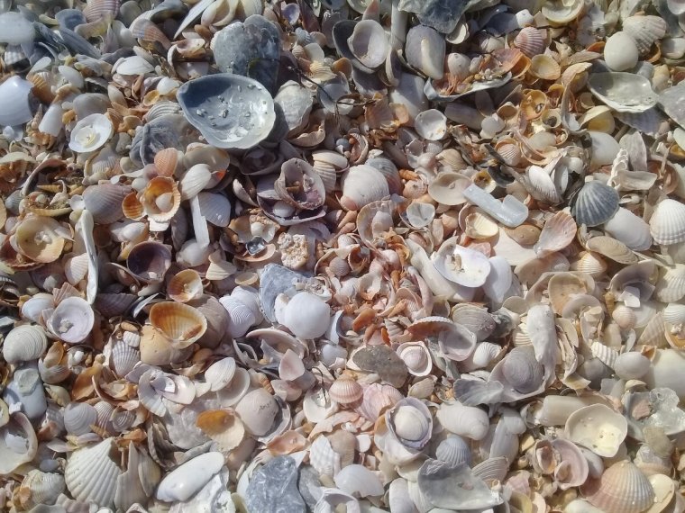 Сергей Анашкевич travelmaniac