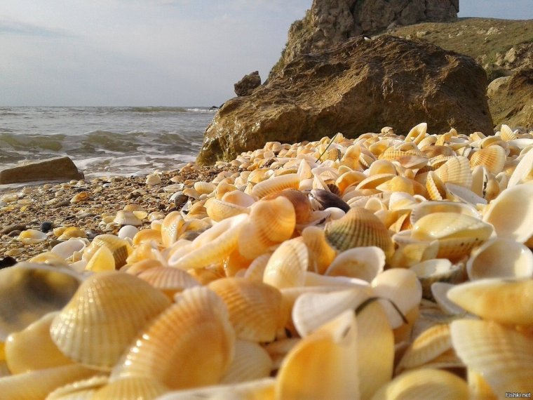 Феодосия ракушечный пляж