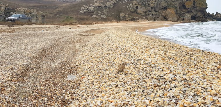 Керчь ракушечный пляж