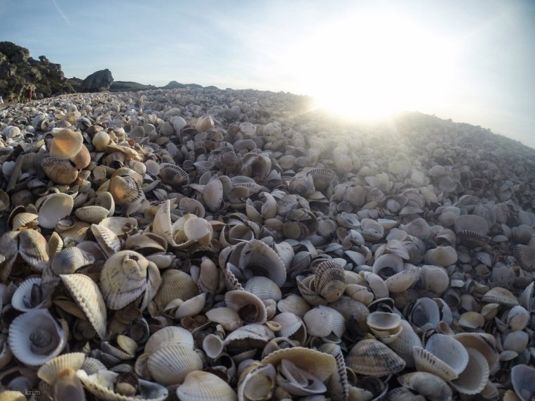 Керчь ракушечный пляж Генеральские