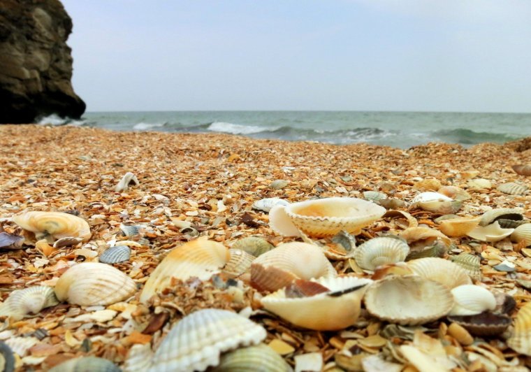 Керчь ракушечный пляж