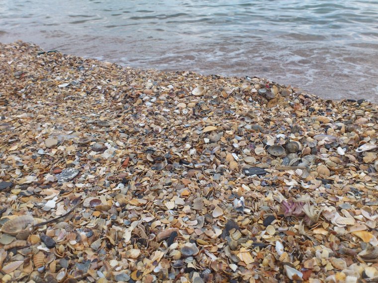 Феодосия ракушечный пляж