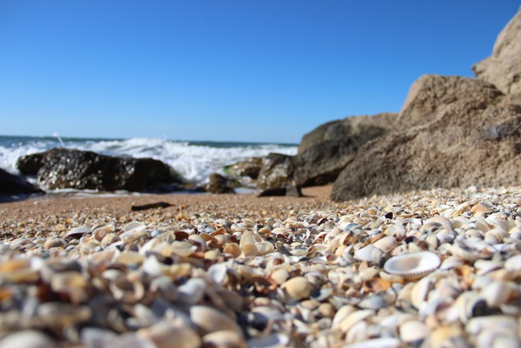 Ракушечный пляж Шелл Бич