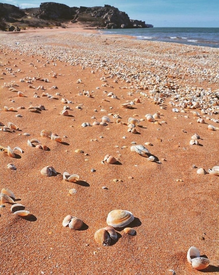 Керчь ракушечный пляж