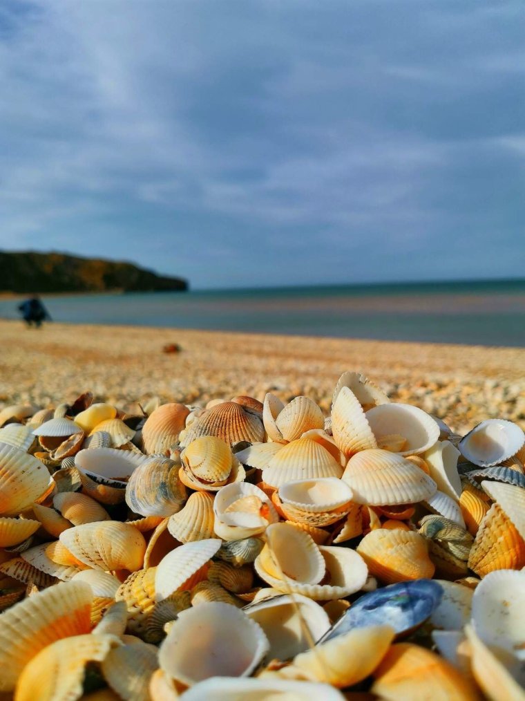 Джубга ракушечный пляж