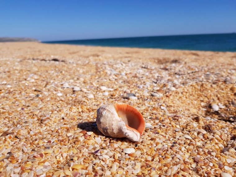 Генеральские пляжи в Крыму и Городище