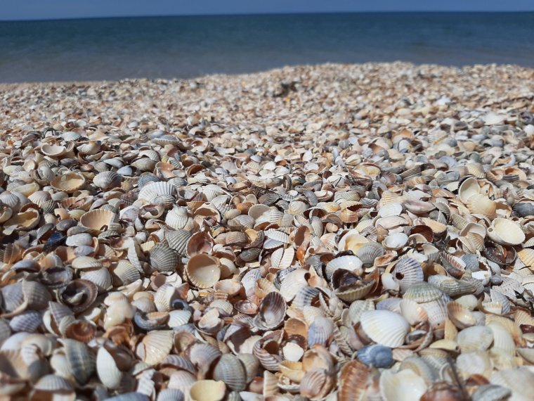 Санибел Флорида