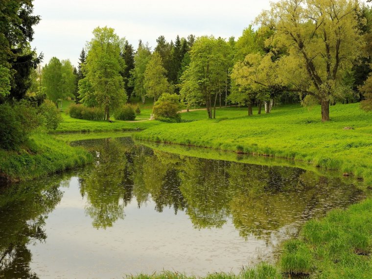 Природа, лес, река,Лесная Полянка