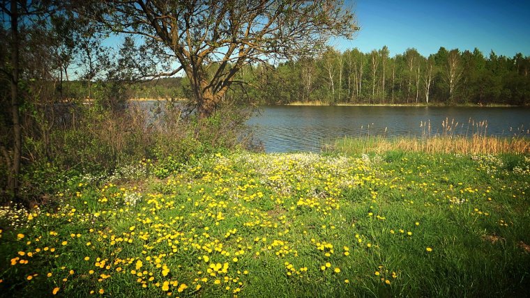 Природа Полянка