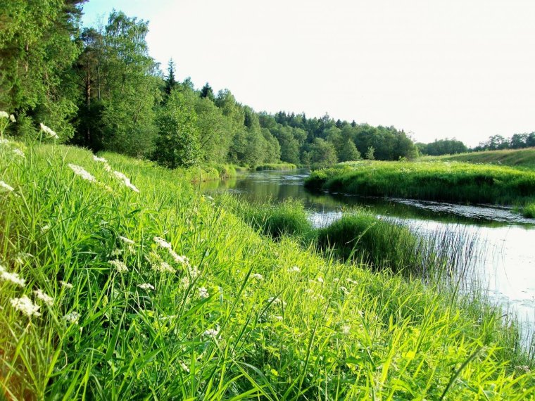 Река Черемха