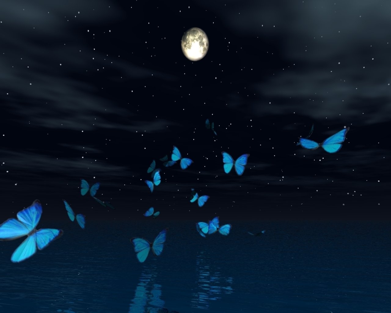 Спящие ночью бабочки