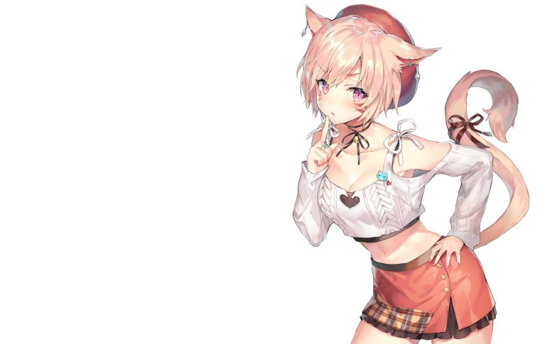 Final Fantasy XIV miqo'te