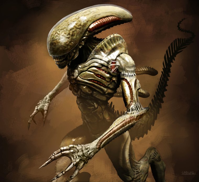 Alien vs Predator Colonial Marines