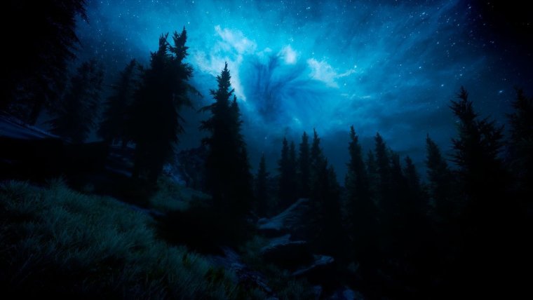 Пейзаж ночной лес