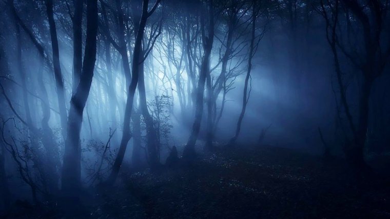 Темный таинственный лес