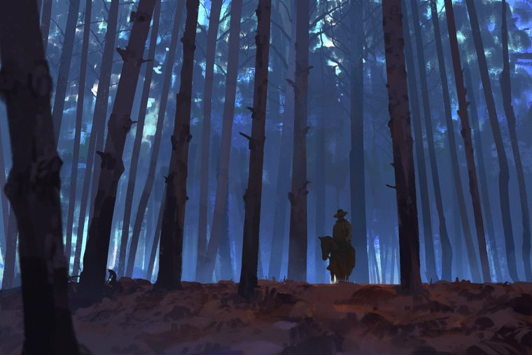 Лес гача лайф ночью