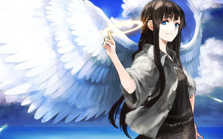 Союз Серокрылых аниме