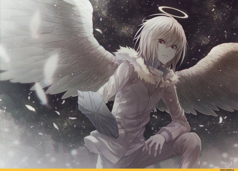 Акселератор Рейлган ангел