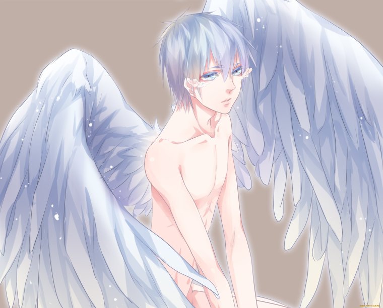 Баскетбол Куроко с крыльями