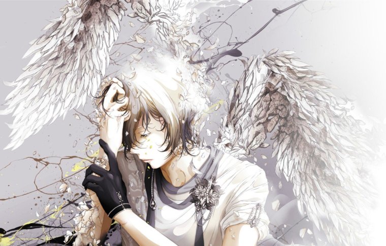 Аниме парень с крыльями