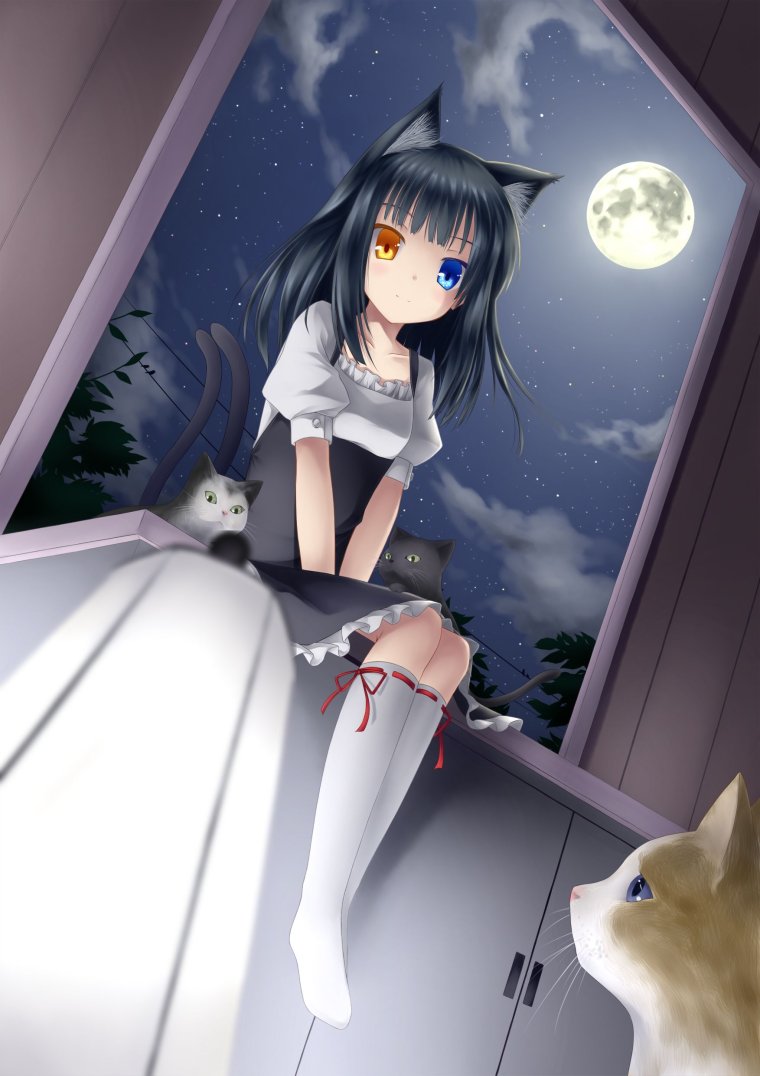 Катрин Фокс