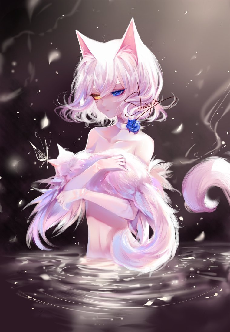 Аниме неко Чан